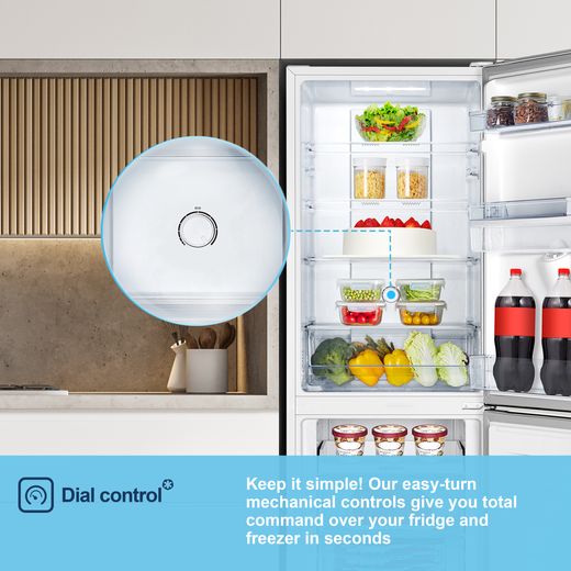 Fridgemaster MC55251DE fridge-freezer Freestanding 256 L E White_19
