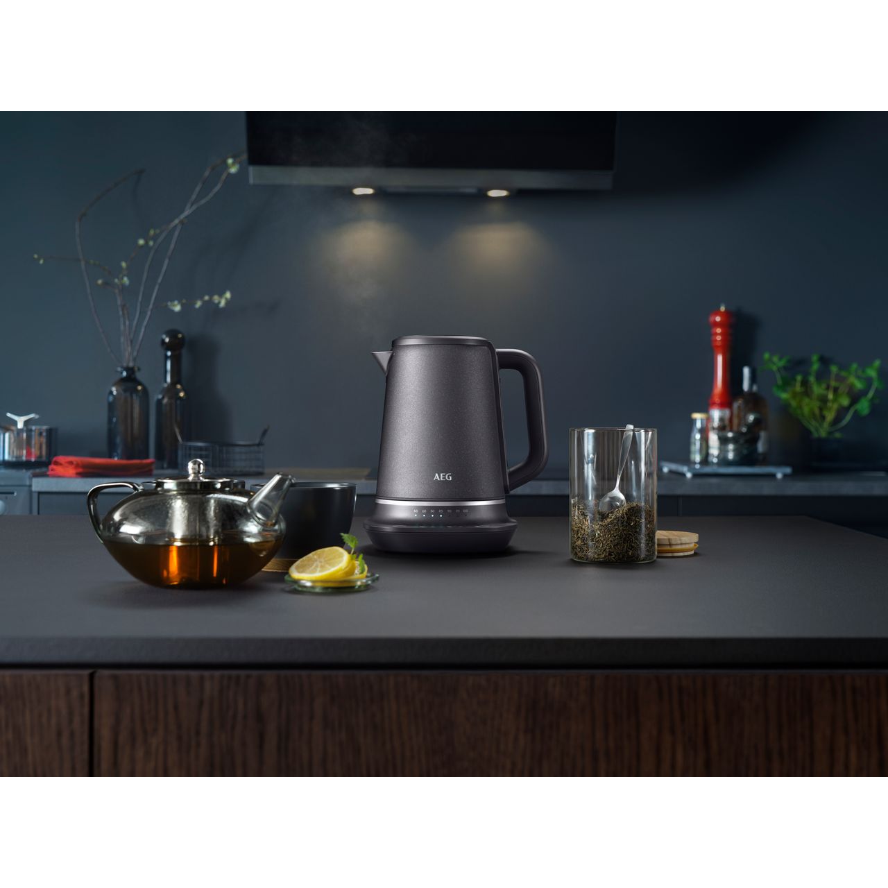 aeg temperature control kettle