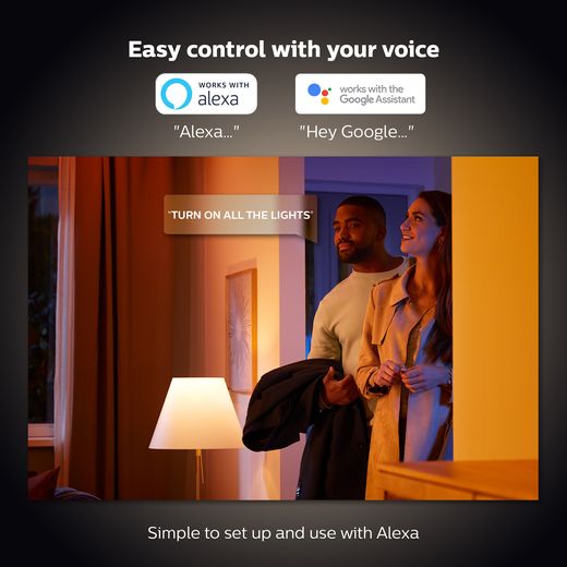 Philips Hue - White - Annotation - Control with voice shot 