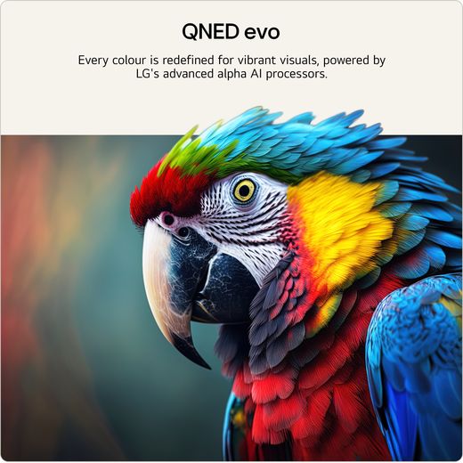 LG evo AI 50" 4K Ultra HD MiniLED Smart TV - Annotation - QNED shot