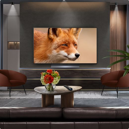 LG C55LA 48" 4K Ultra HD OLED Smart TV - TV in room