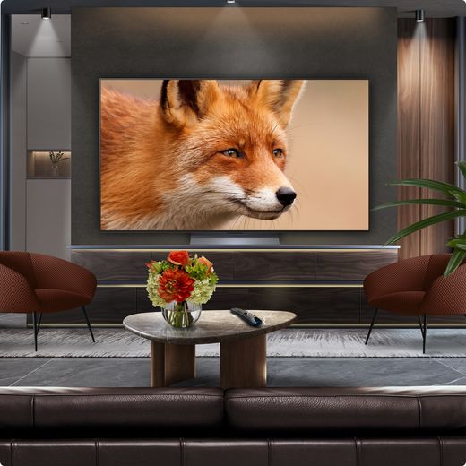 LG C55LA 65" 4K Ultra HD OLED Smart TV - TV in room